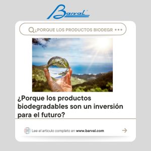 Lee más sobre el artículo Por Qué los Productos Biodegradables Son una Inversión para el Futuro
